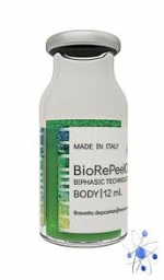 BODY | 12 